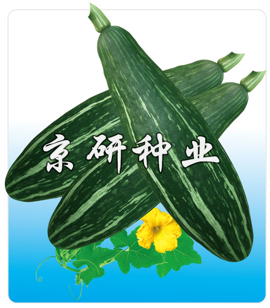 長(zhǎng)香栗2號(hào)